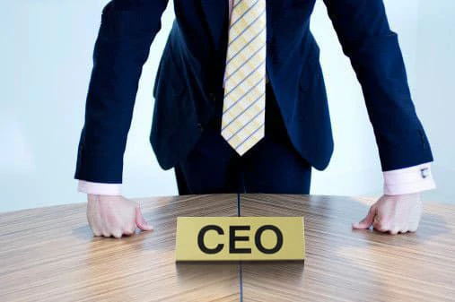chief executive officer adalah 2