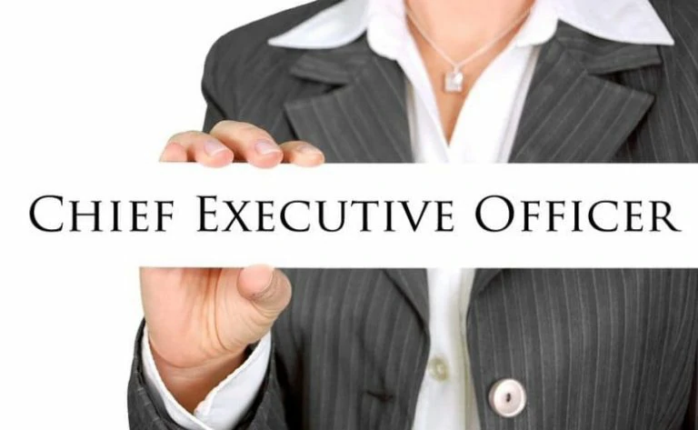 chief executive officer adalah 3