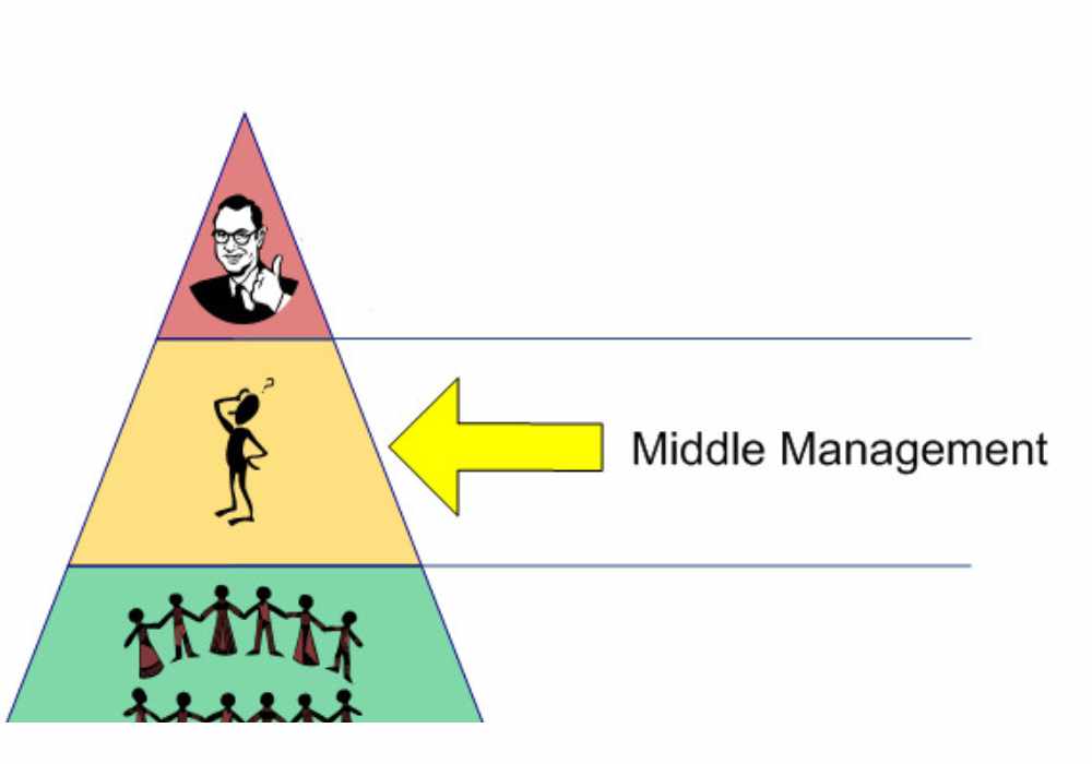 middle management 3