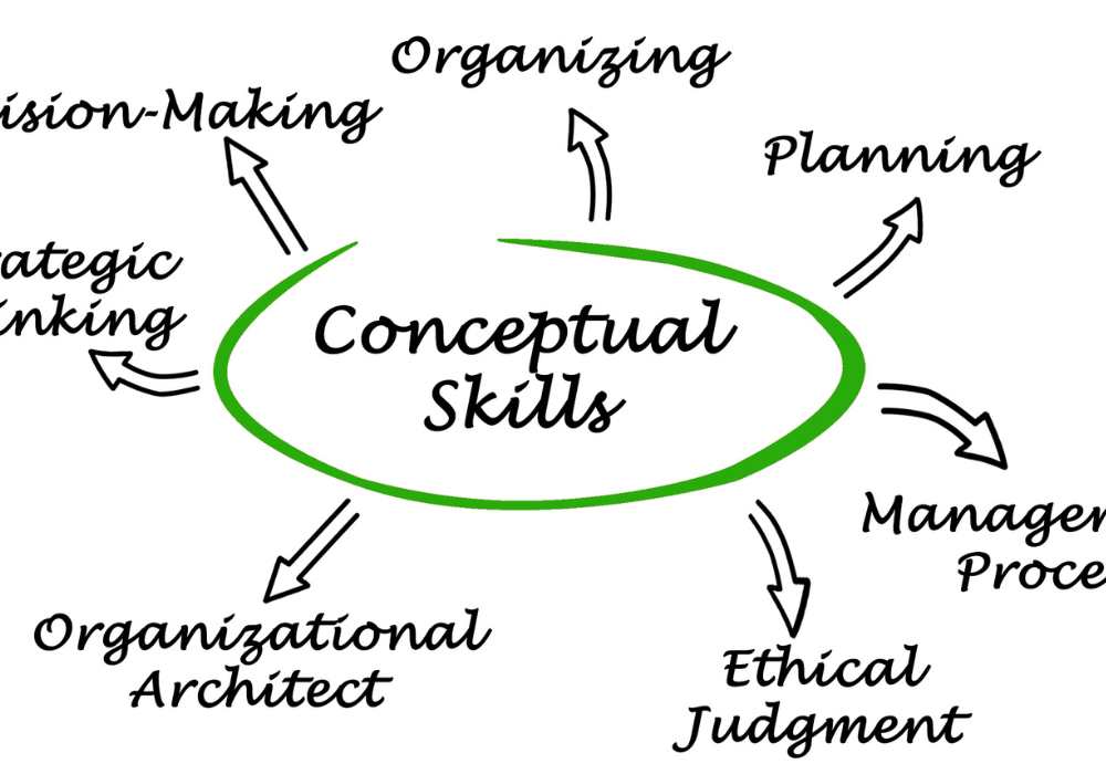 conceptual skill 6