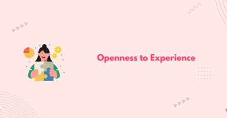 openness to experience banner