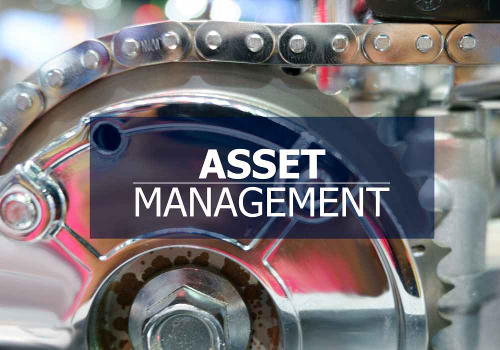 asset management 5