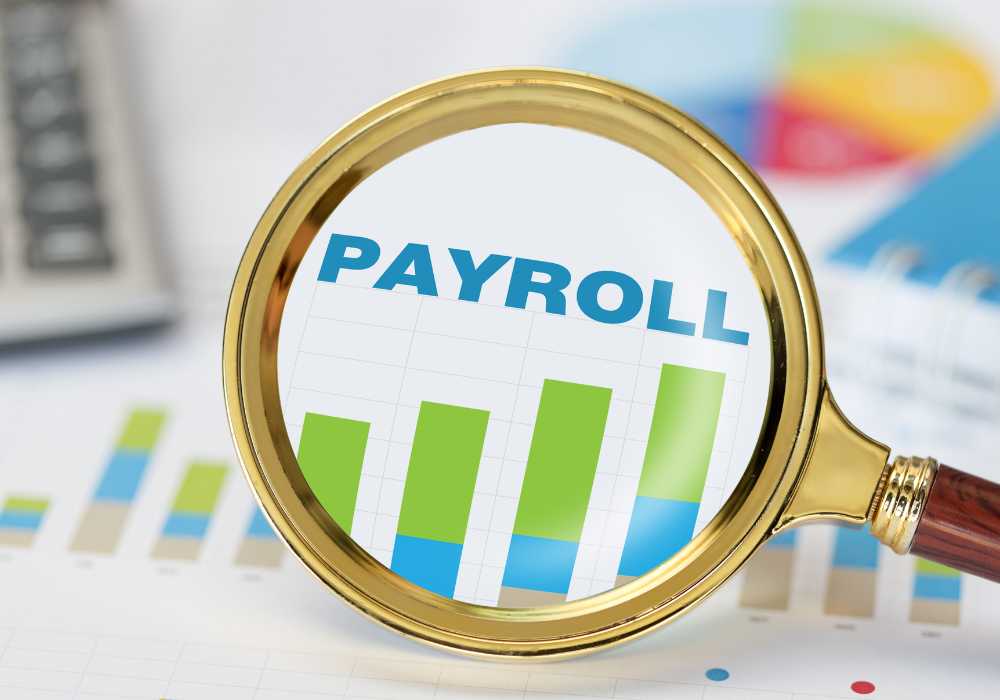 software payroll online vs offline 1