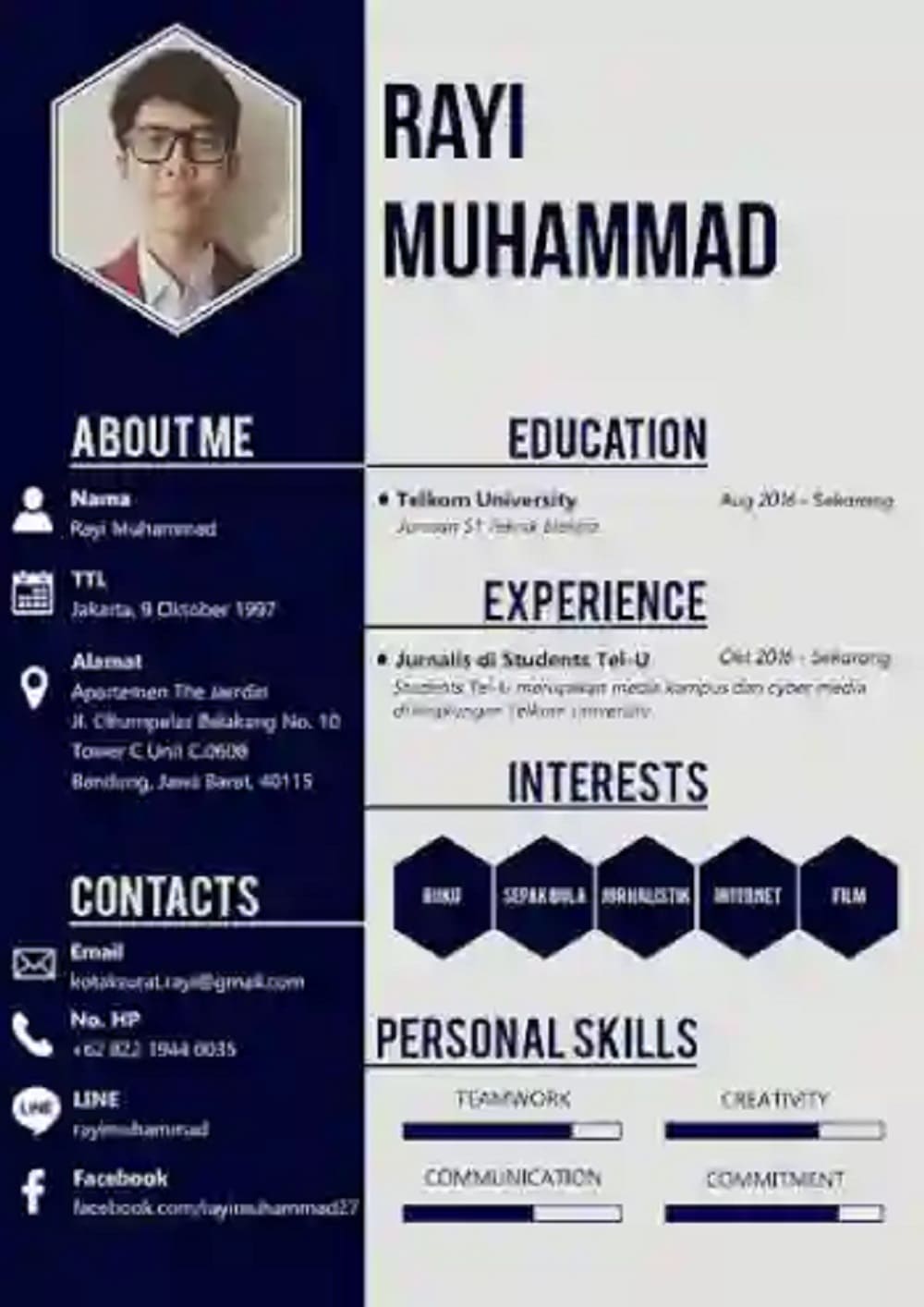 curriculum vitae