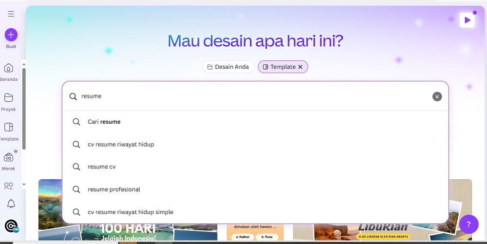 curriculum vitae