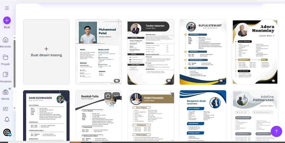 curriculum vitae