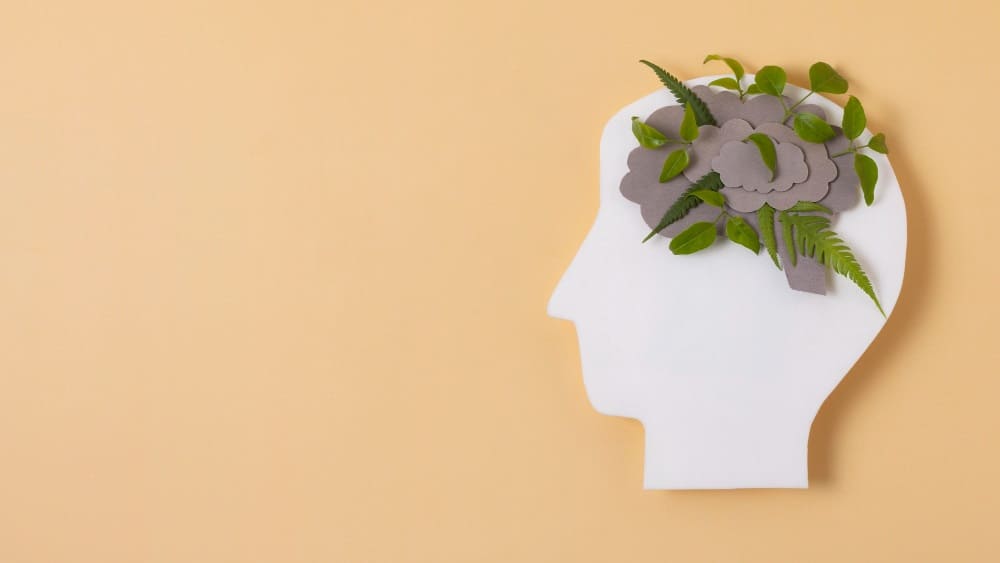 mental model
