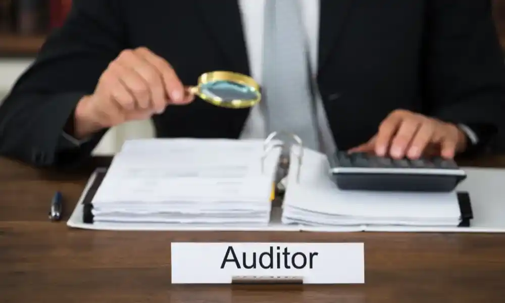 profesi auditor