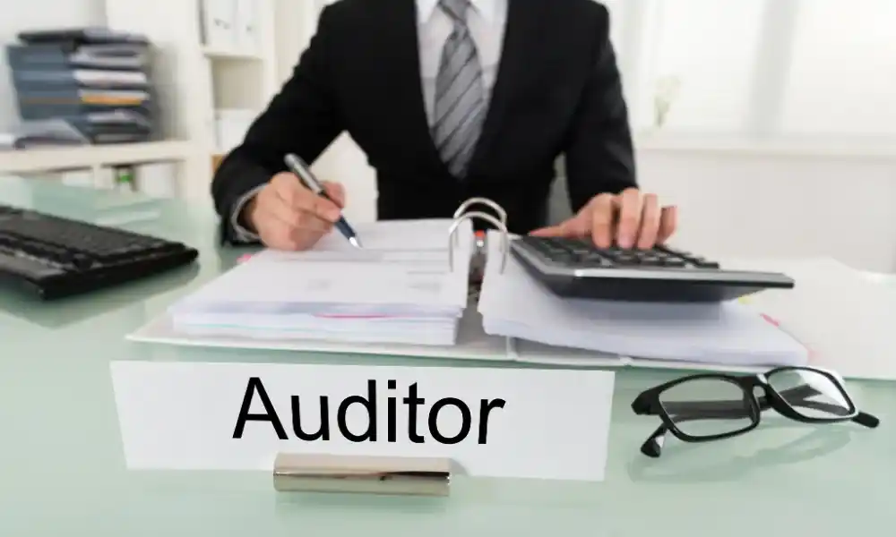 profesi auditor