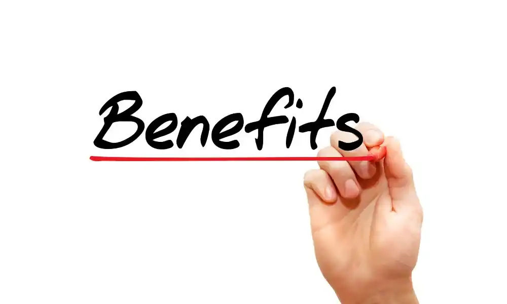 program benefit karyawan