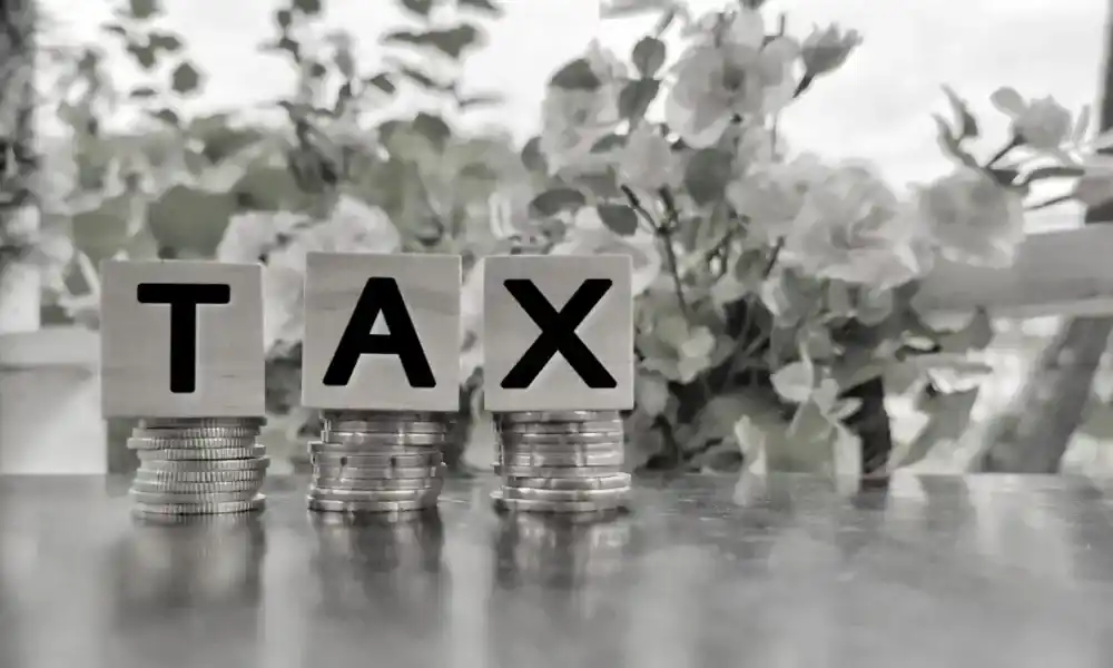 cara lapor SPT Tahunan online