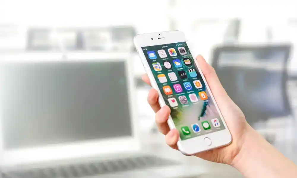 cara melamar kerja lewat WA