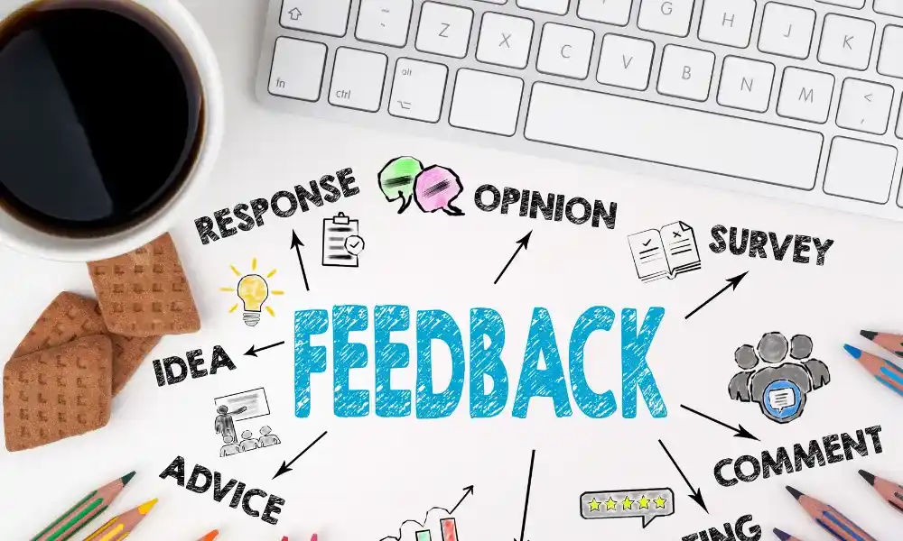 feedback culture