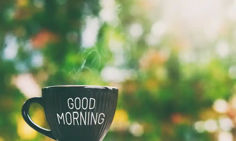 early bird