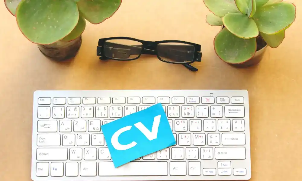 curriculum vitae