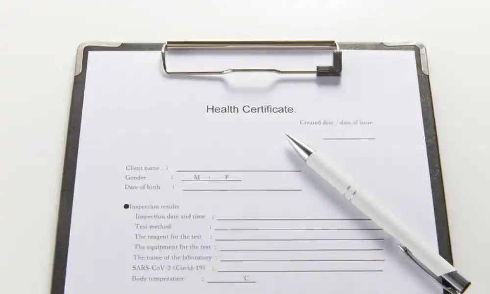 surat keterangan sehat
