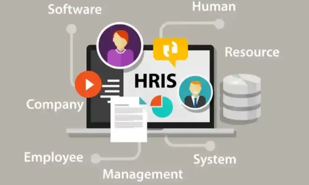 persiapan sistem HRIS