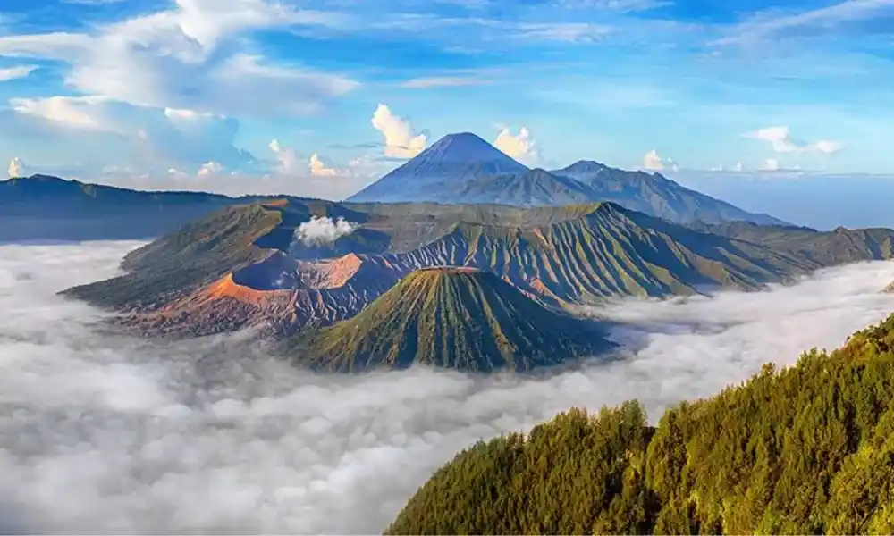 UMK Malang