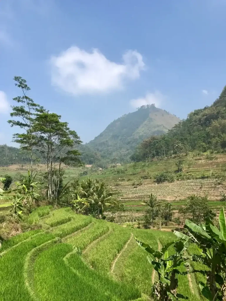 UMP Kalimantan Tengah