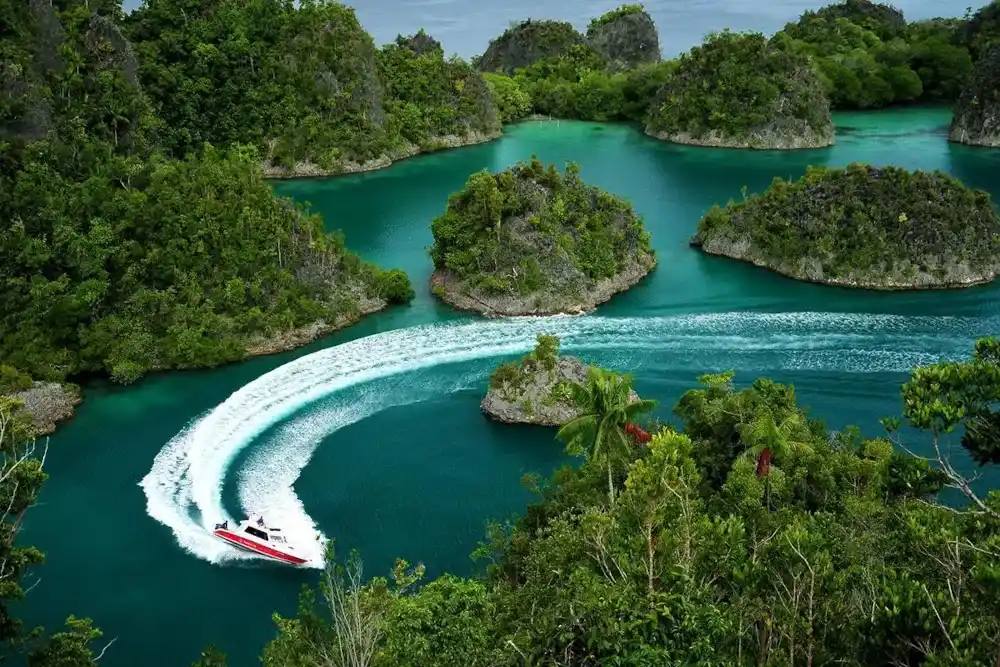 UMP Papua
